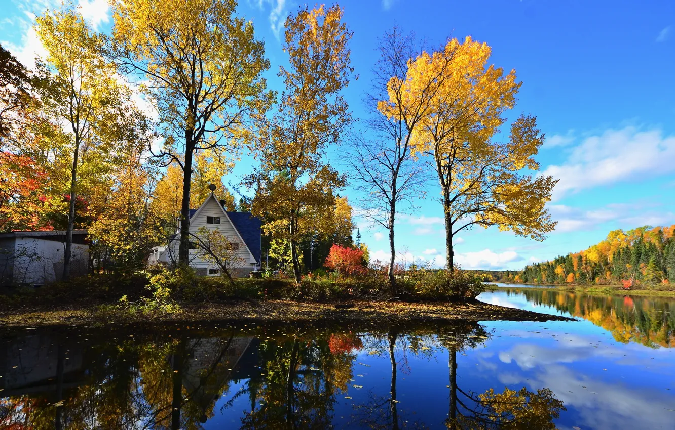 Фото обои осень, лес, деревья, пейзаж, природа, озеро, дом, берег