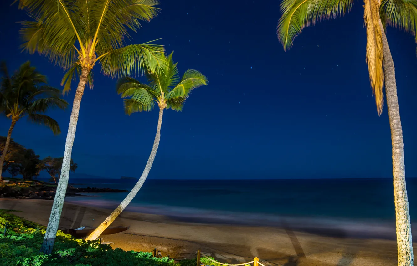 Фото обои море, небо, звезды, свет, ночь, тропики, пальмы, берег