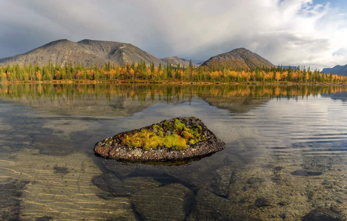 Фото обои осень, деревья, пейзаж, горы, природа, озеро, камни, дно