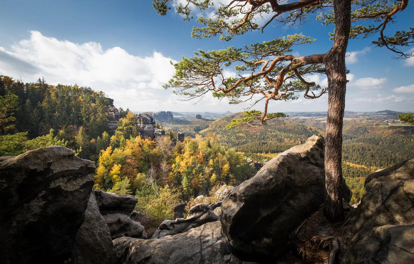 Фото обои осень, лес, горы, синева, камни, скалы, вид, высота