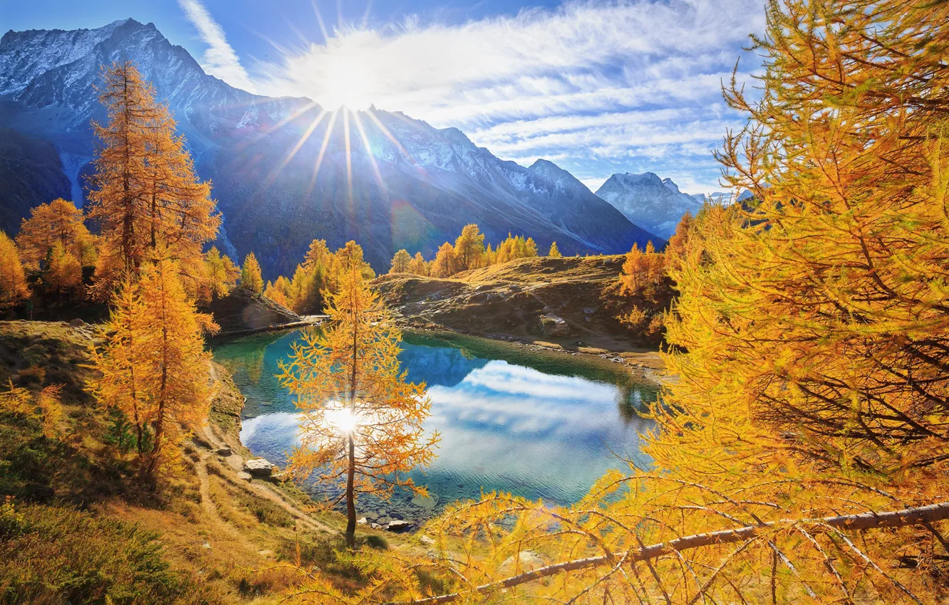 Фото обои деревья, горы, озеро, восход, рассвет, Швейцария, Альпы, Голубое озеро