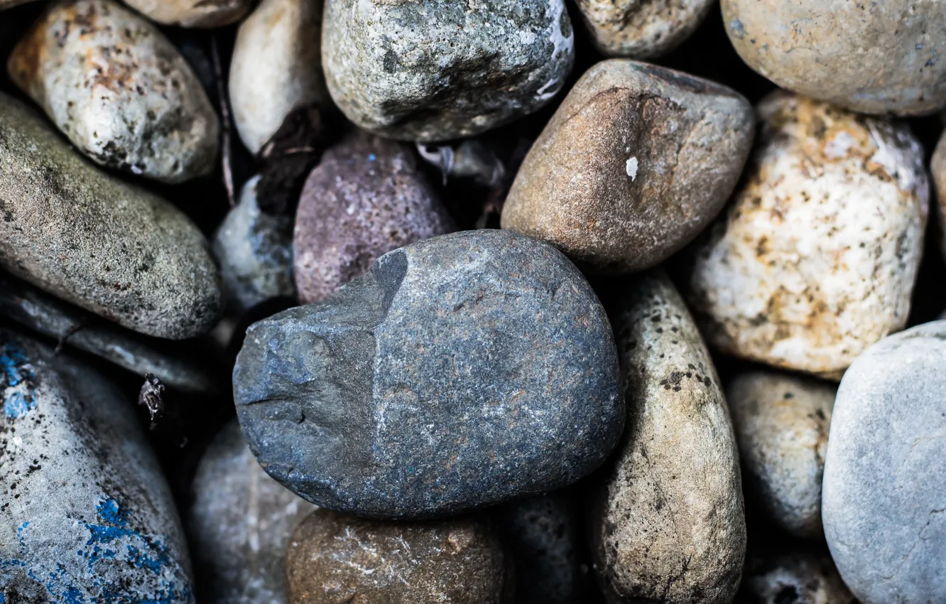 Фото обои макро, камни, серый, stones