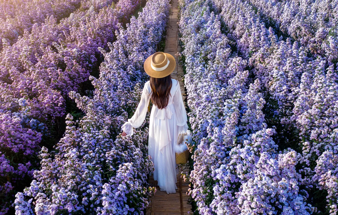 Фото обои поле, девушка, цветы, платье, girl, white, dress, field