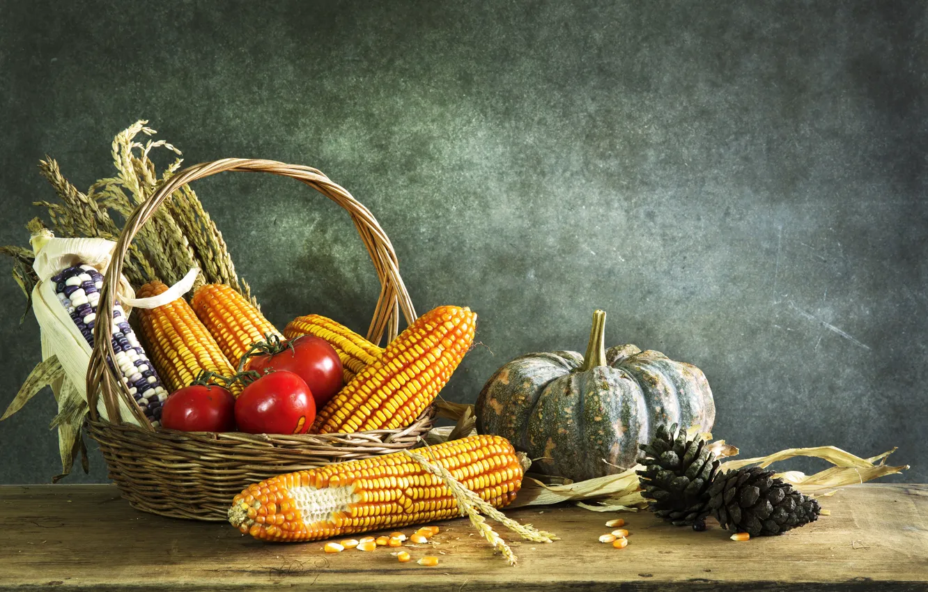 Фото обои кукуруза, Тыква, Шишки, помидоры, Натюрморт