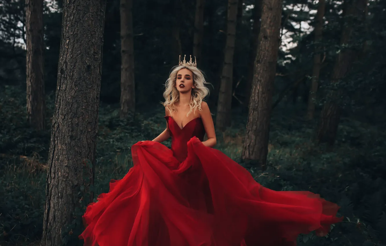 Фото обои лес, девушка, корона, платье, в красном, Fairy Tale, Adam Bird