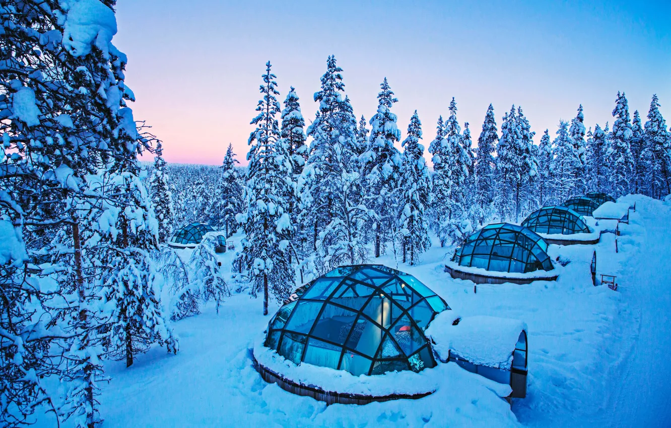 Фото обои Зима, Деревья, Снег, Финляндия, Finland, Lapland, Лапландия, Kakslauttanen Arctic Resort