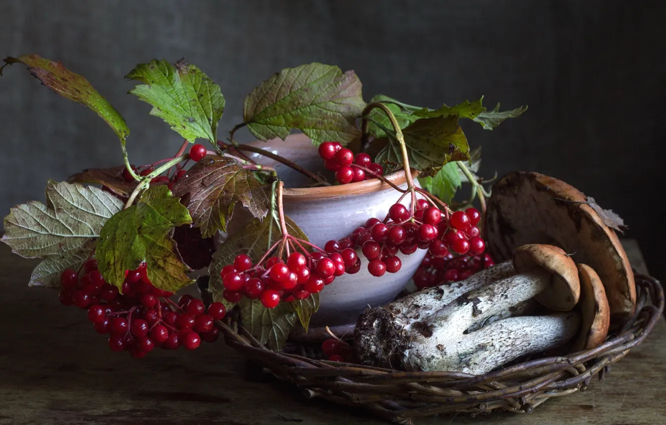Фото обои осень, ягоды, грибы, подосиновик, калина