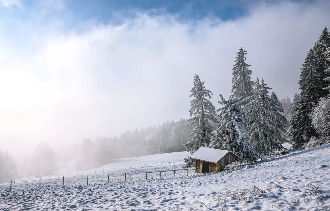Фото обои зима, иней, поле, лес, небо, облака, снег, природа