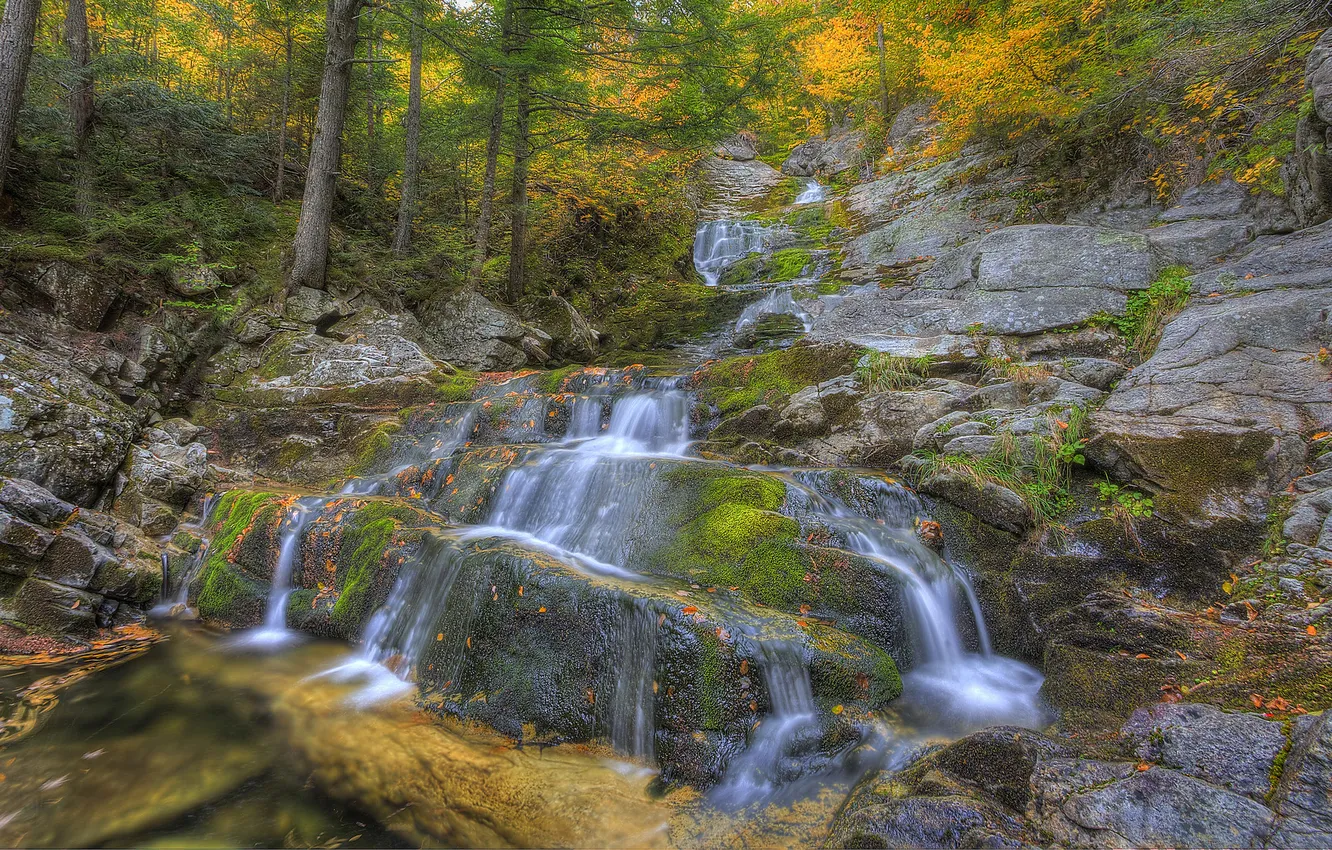 Фото обои осень, лес, деревья, скала, река, водопад, поток, каскад