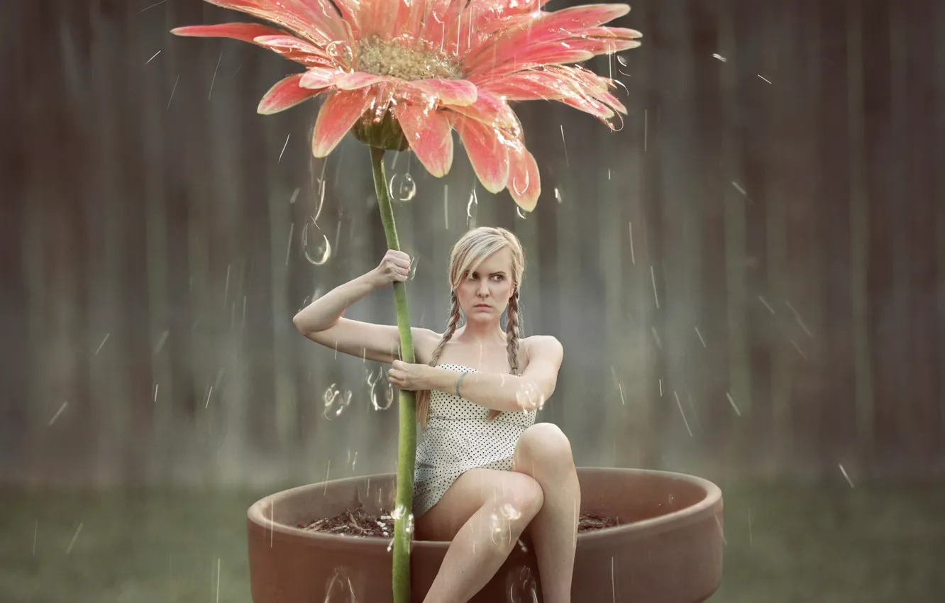 Фото обои цветок, девушка, капли, арт, душ