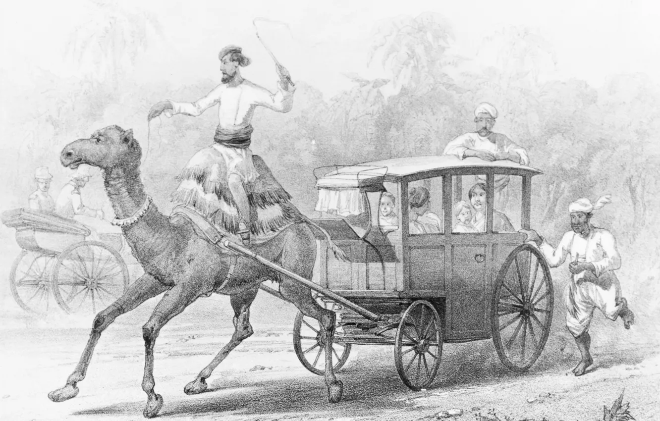 Фото обои люди, верблюд, восток, карета