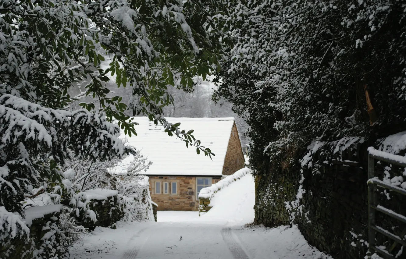 Фото обои Природа, Nature, Snow Trees, Снежные Деревья, Winter House, Зимний Домик
