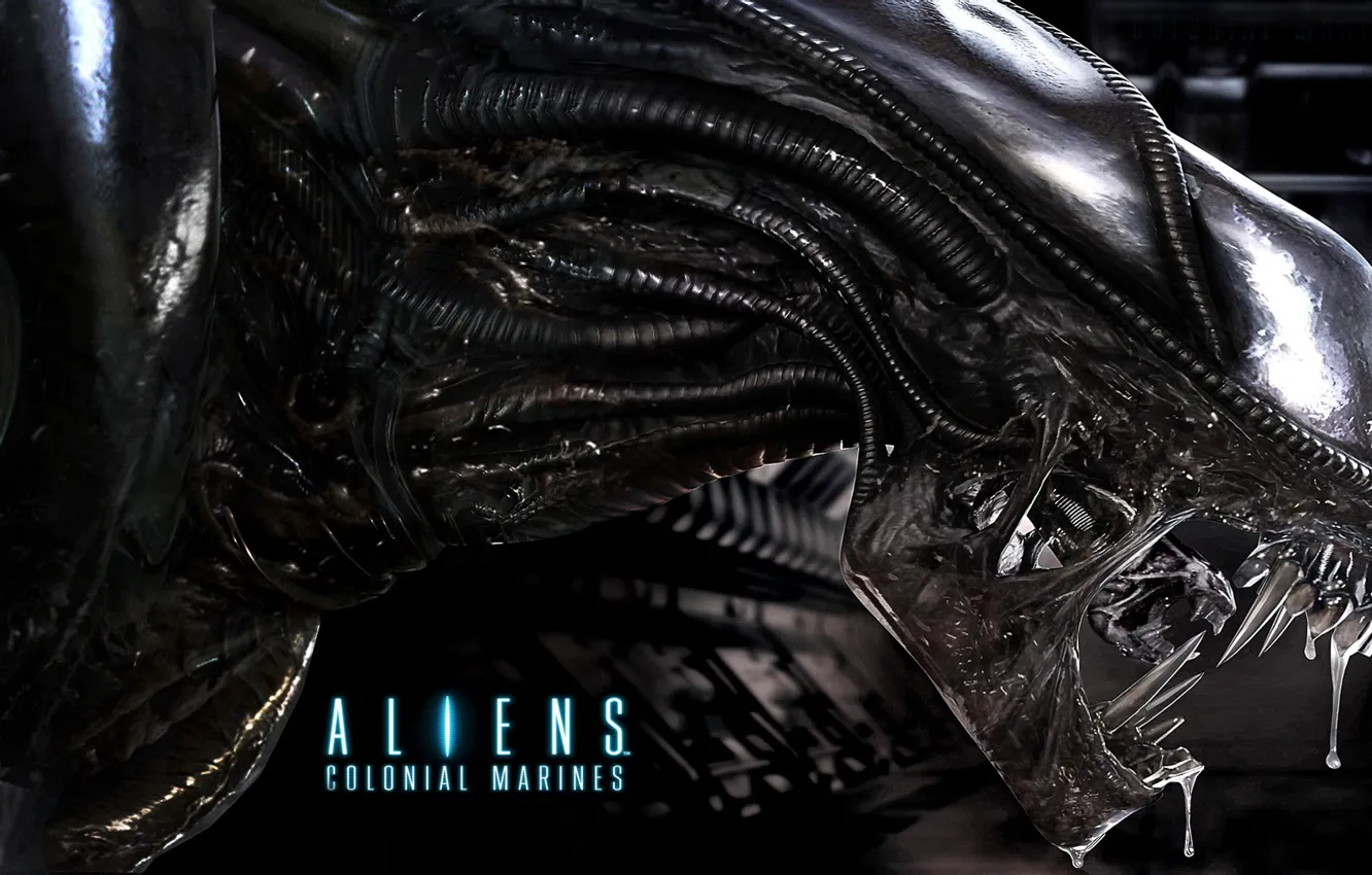 Фото обои монстр, логотип, чужой, alien, alien colonial marines