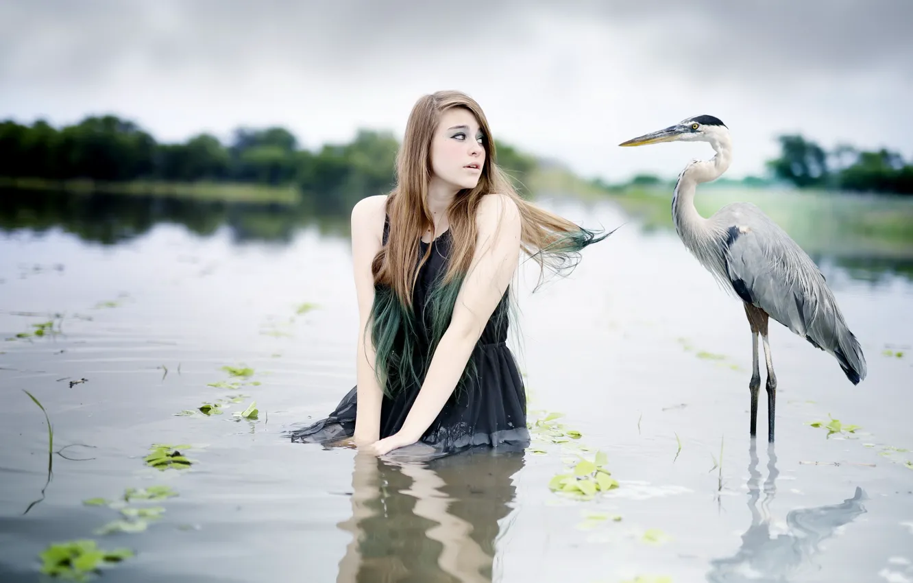 Фото обои вода, девушка, птица