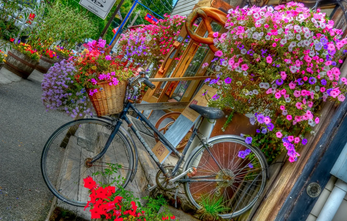 Фото обои цветы, велосипед, крыльцо, магазин, кашпо