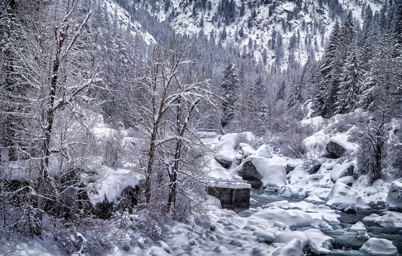 Фото обои зима, снег, деревья, пейзаж, природа, река, красота