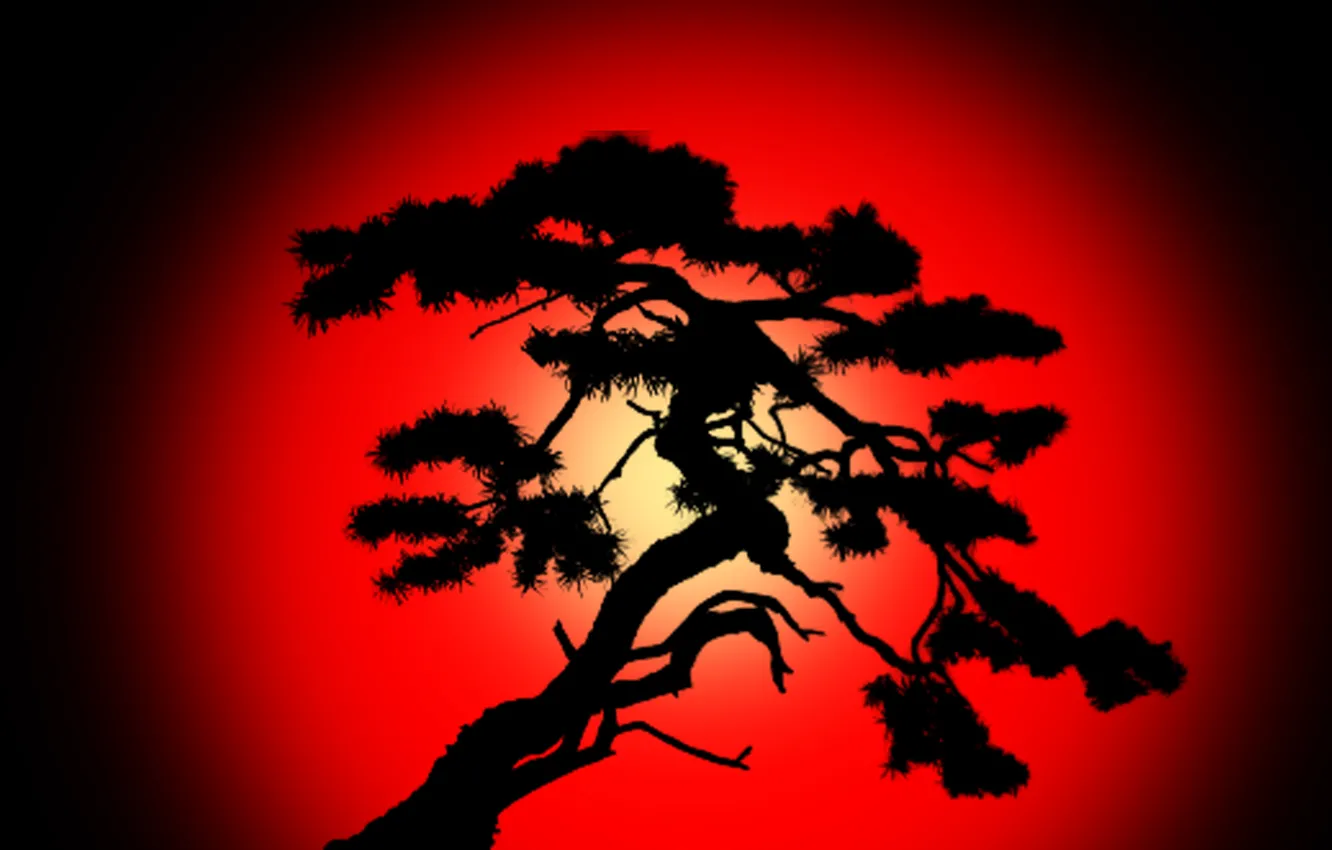 Фото обои colour, darkness, shadow, silhouette of tree