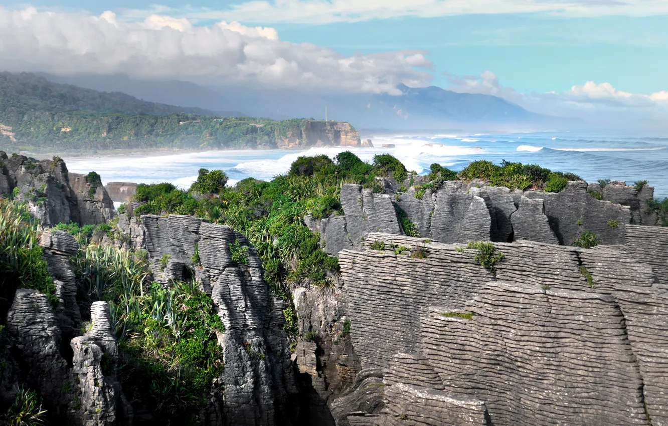 Фото обои Jungle, Rock, Grass, Hill, Strange, Coast Beach