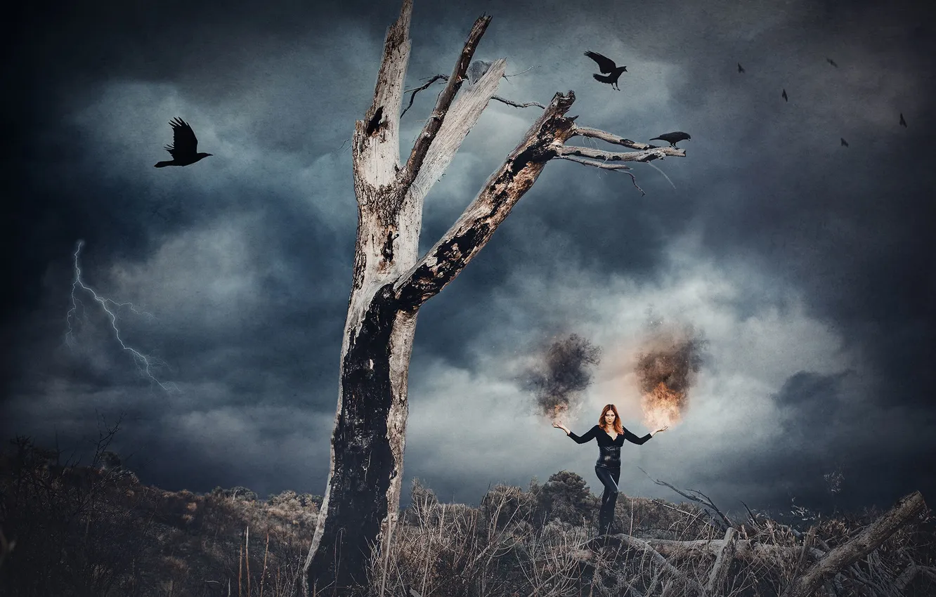 Фото обои девушка, птицы, дерево, огонь, молния