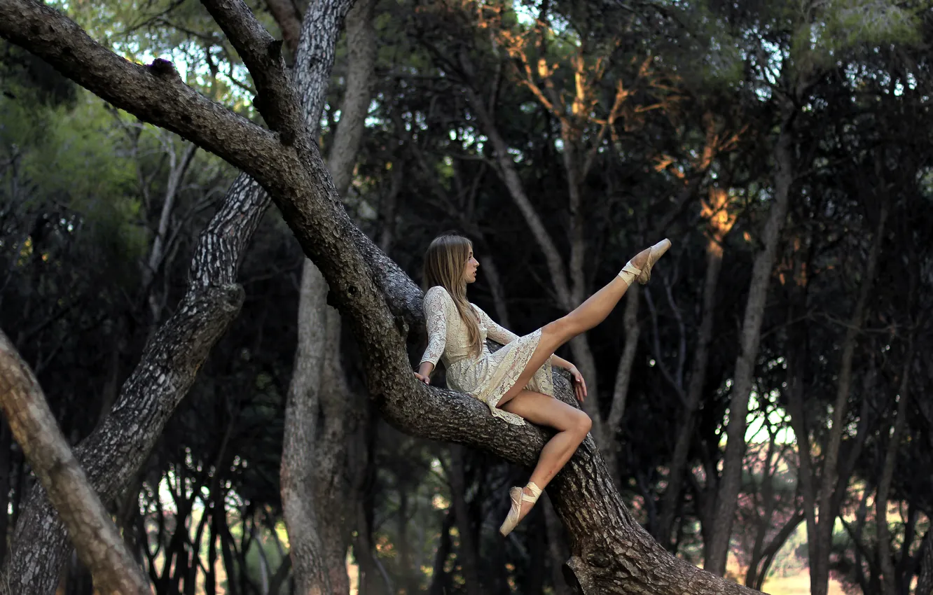 Фото обои девушка, поза, дерево, балерина, пуанты