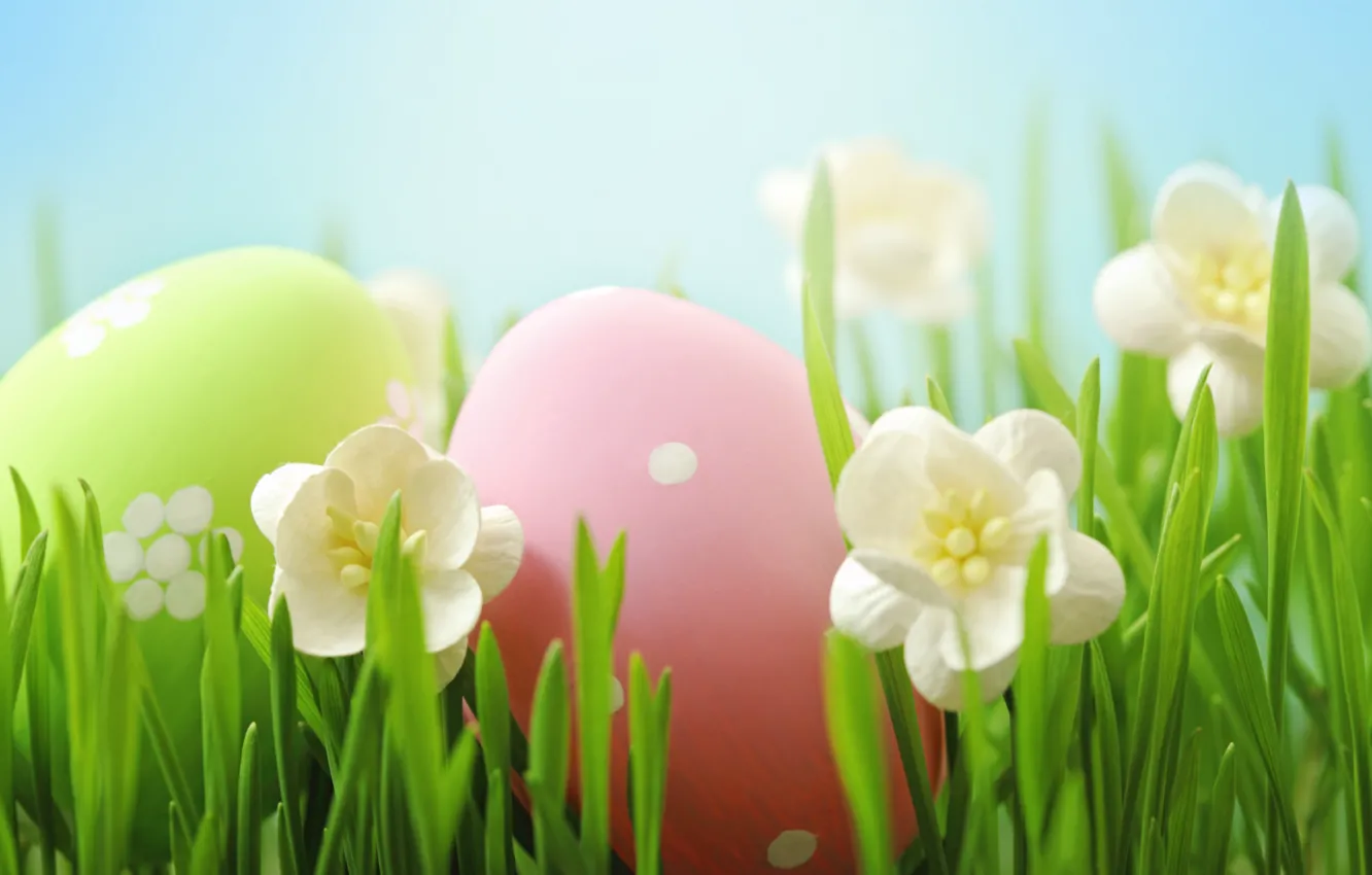 Фото обои трава, цветы, Пасха, flowers, spring, Easter, eggs, Happy