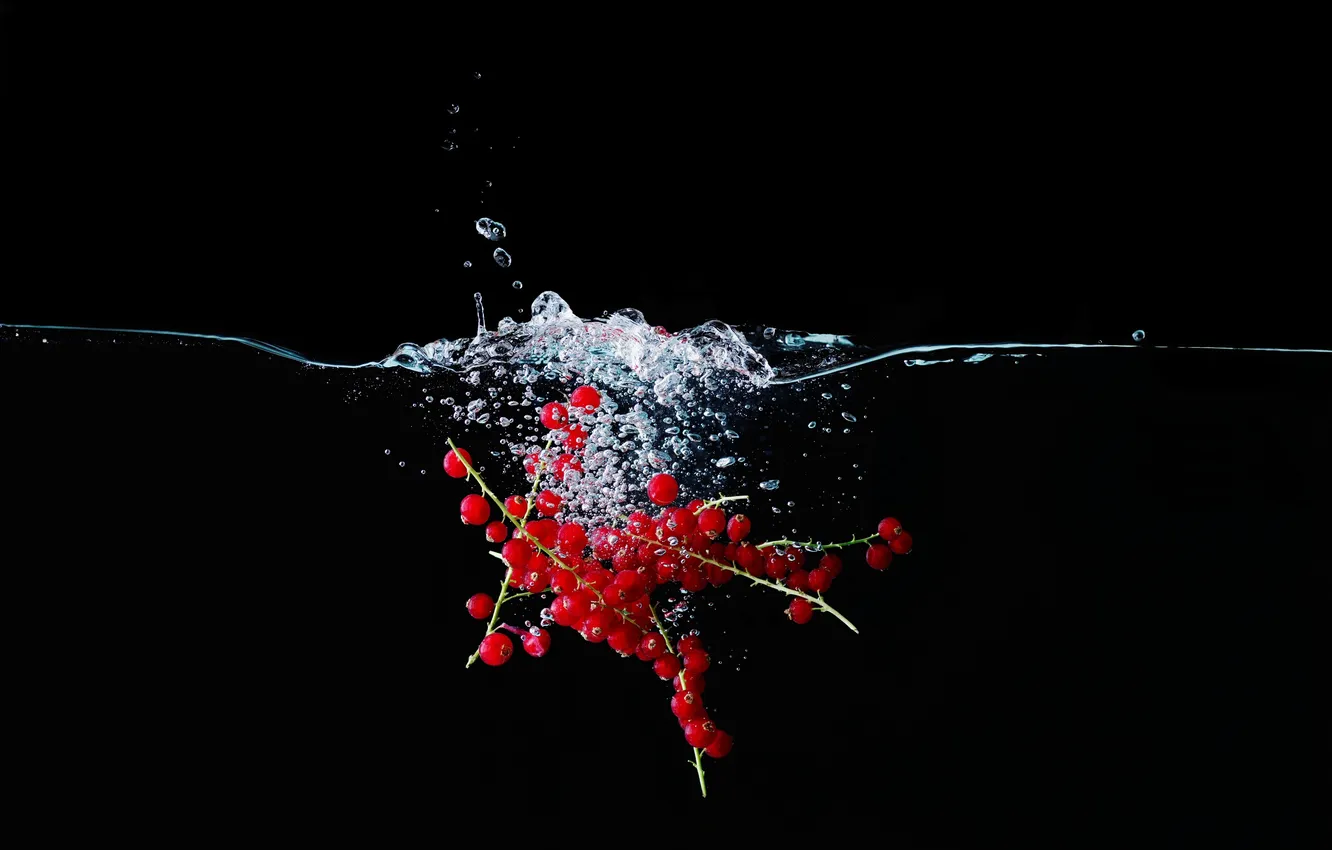Фото обои вода, пузырьки, ягоды, красные, черный фон, смородина