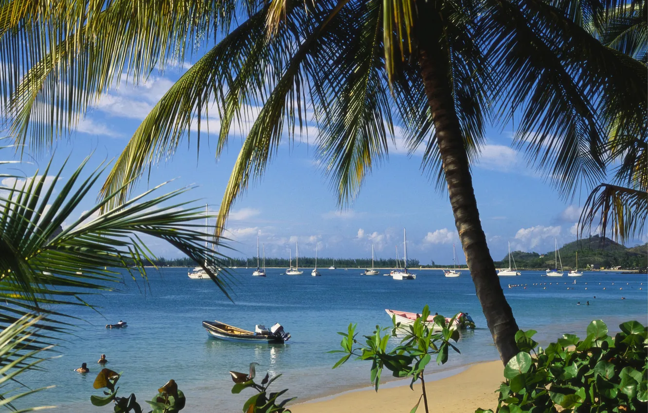 Фото обои Небо, Пляж, Пальмы, Sky, Beach, Palm Trees, Tropical, Карибское море