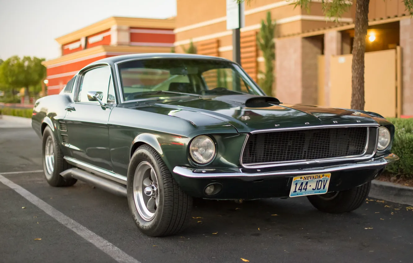 Фото обои Mustang, Ford, классика, передок, Мускул кар