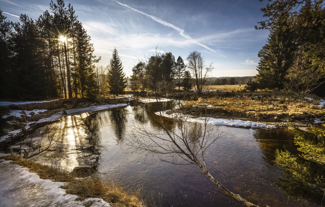 Фото обои река, весна, утро
