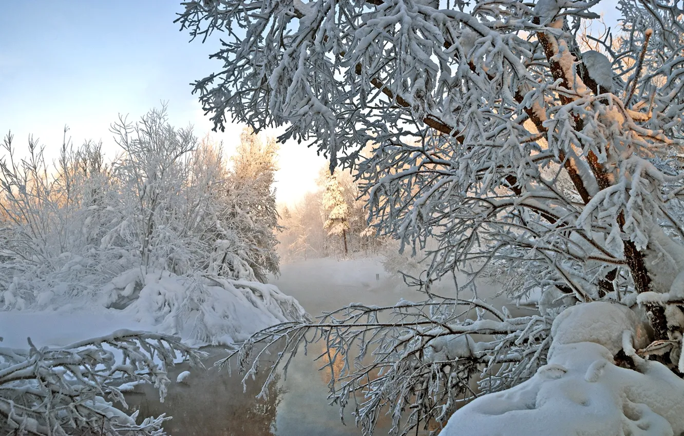 Фото обои зима, снег, деревья, река