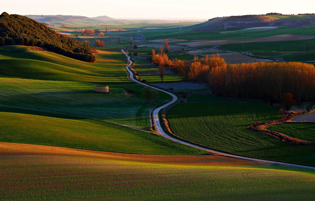 Фото обои дорога, осень, трава, деревья, закат, холмы, Испания, Вальядолид