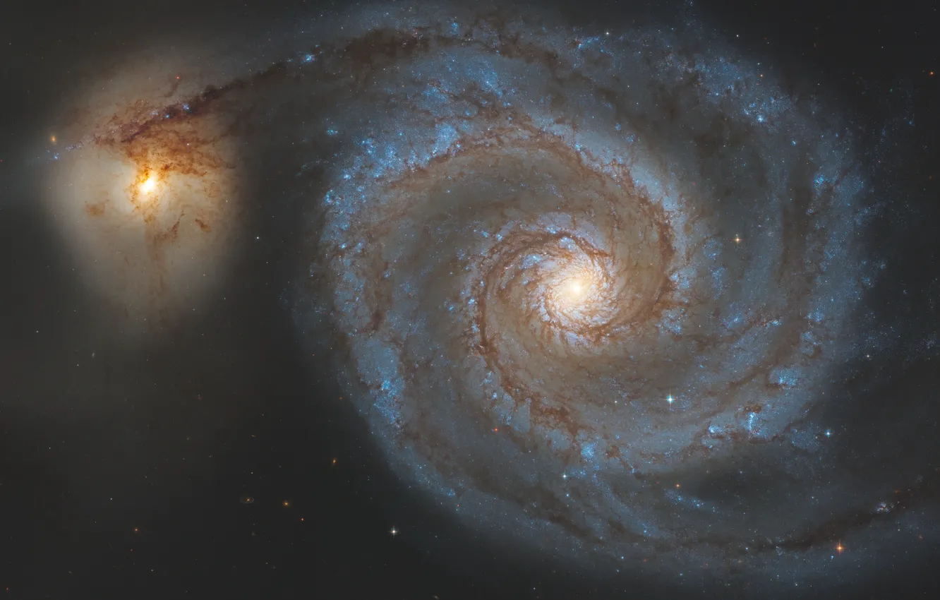 Фото обои галактика, Гончие Псы, Водоворот, в созвездии
