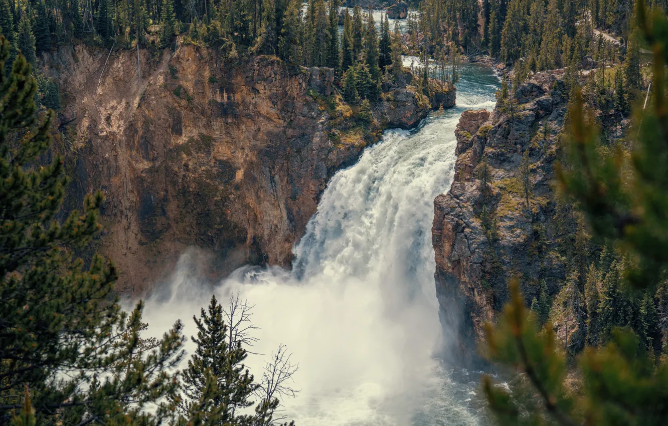 Фото обои wallpaper, Nature, Waterfall, picture, River, Rocks, Forest