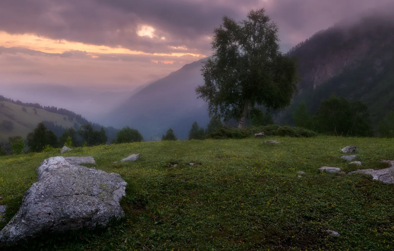 Фото обои пейзаж, горы, природа, камни, дерево, рассвет, утро, кусты