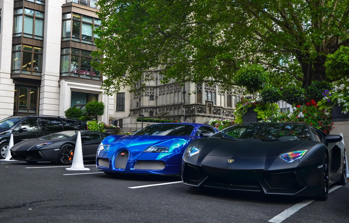 Фото обои Bugatti, Veyron, суперкар, бугатти, Blue, ламборджини, Black, передок