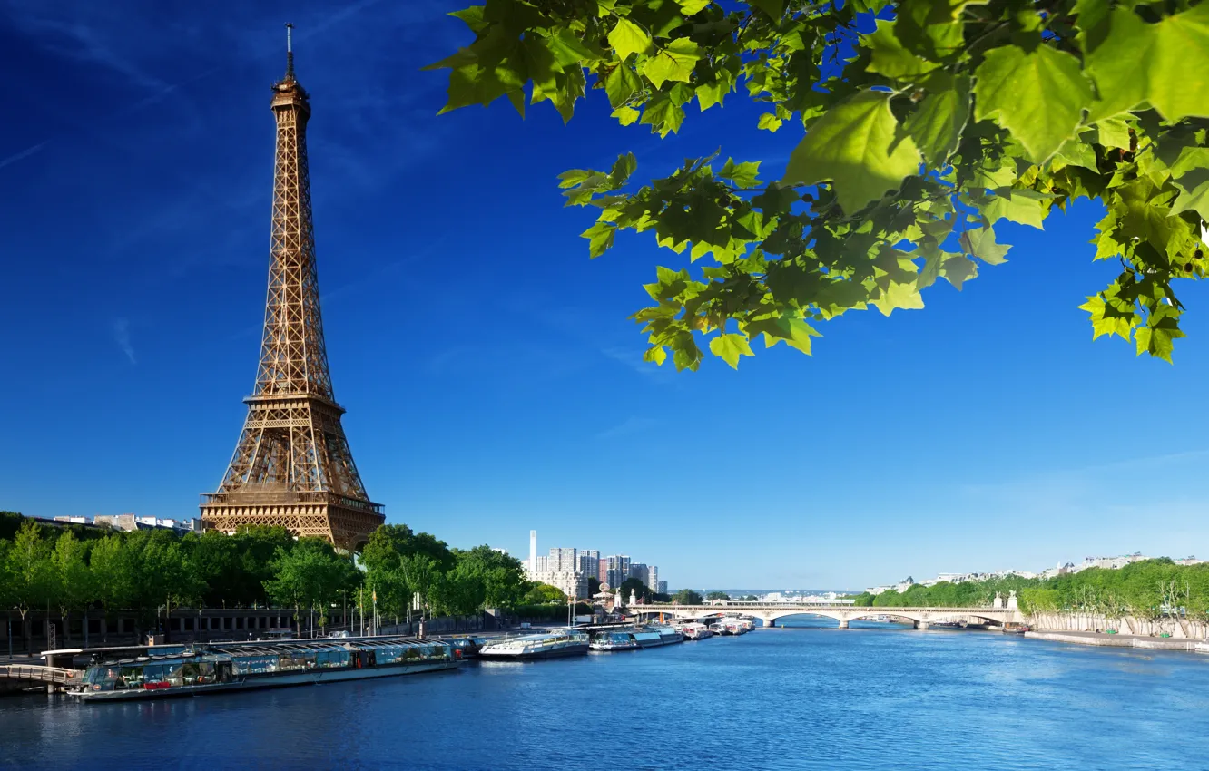 Фото обои лето, небо, листья, мост, река, Франция, Париж, зеленые