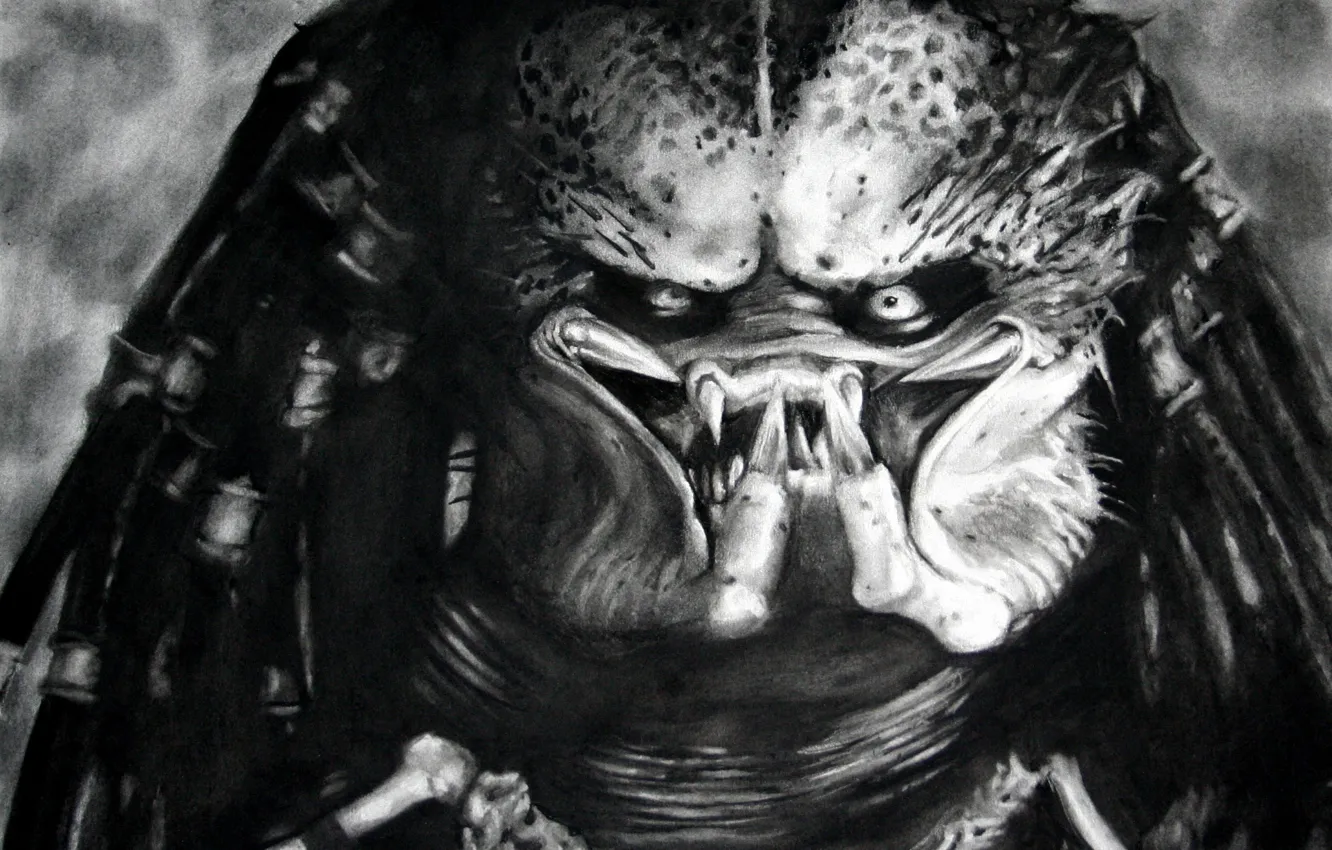 Фото обои рисунок, монстр, хищник, черно-белое, рожа, Predator