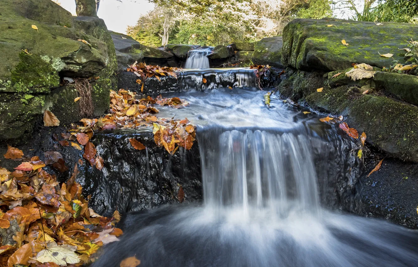 Фото обои осень, листья, природа, камни, водопад