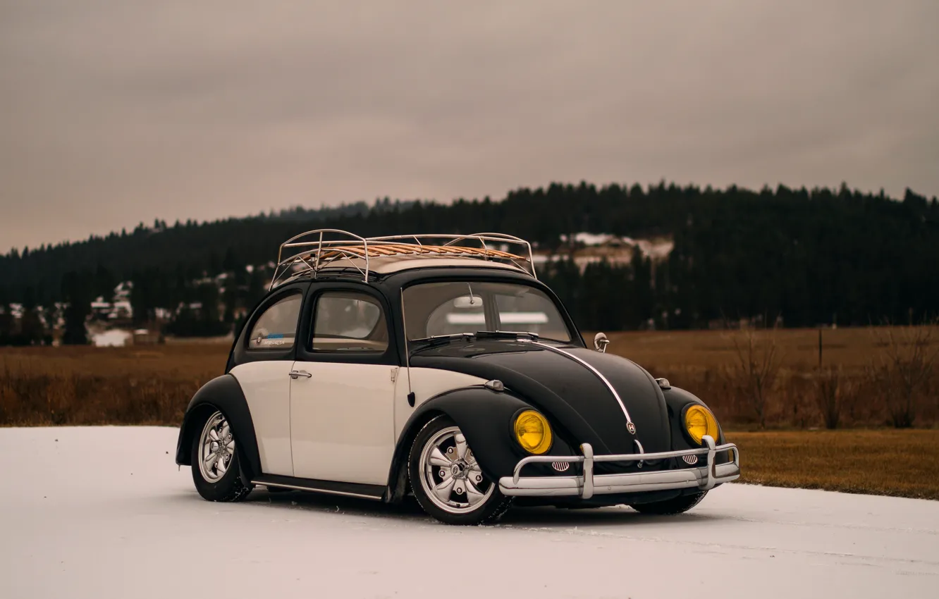 Фото обои Volkswagen, Beetle, Volkswagen Beetle, bug