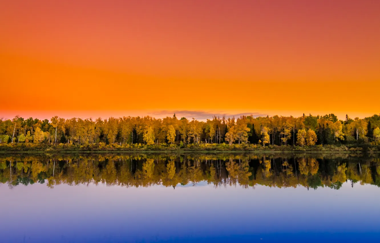 Фото обои лес, деревья, закат, озеро, отражение, зеркало, оранжевое небо