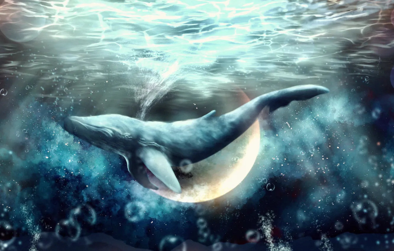 Фото обои космос, фэнтези, кит, под водой