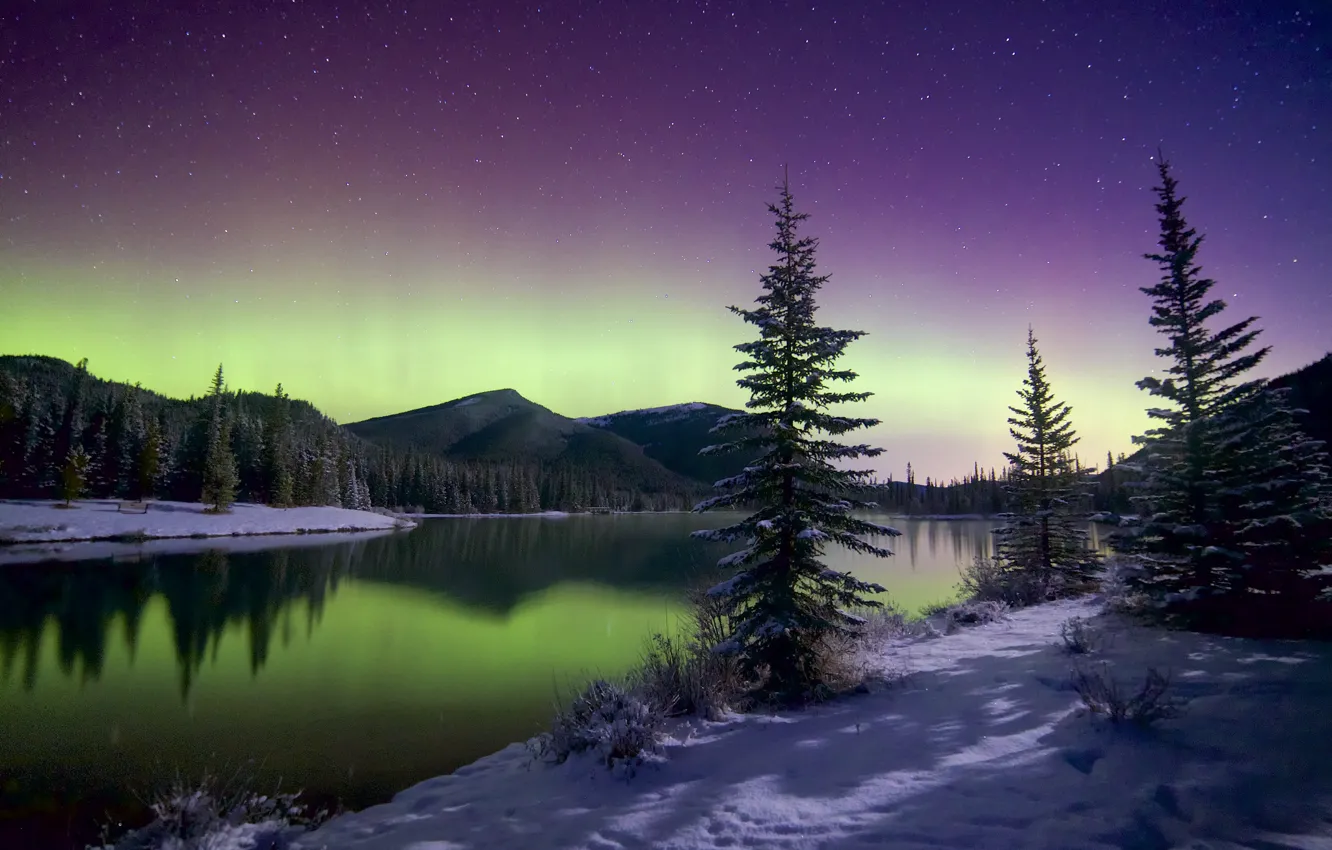 Фото обои зима, небо, звезды, снег, деревья, горы, северное сияние