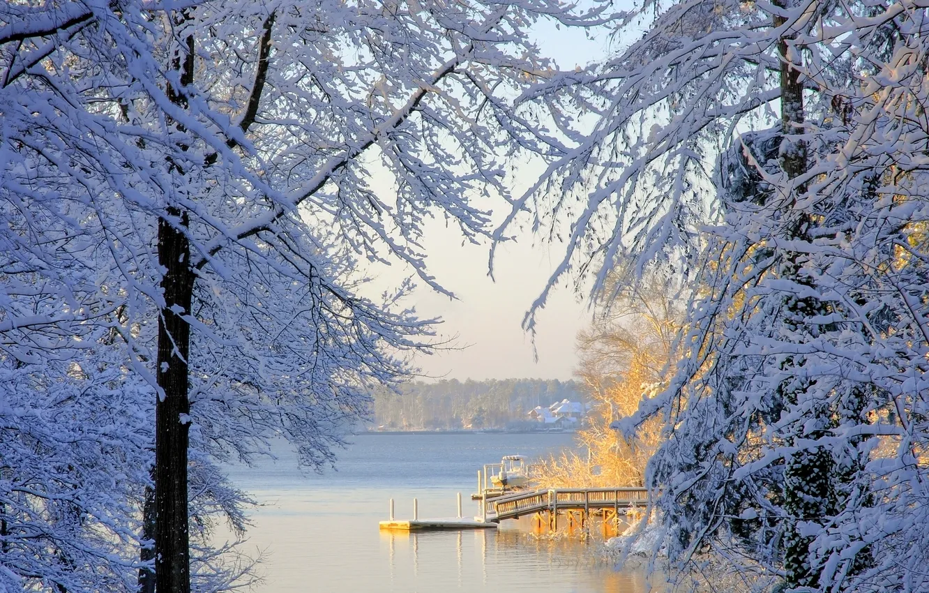 Фото обои зима, снег, деревья, Южная Каролина, South Carolina, Lake Murray, Озеро Мюррей