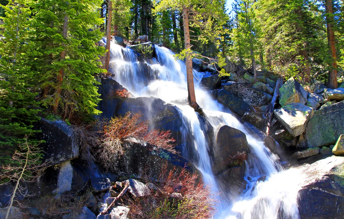 Фото обои лес, деревья, брызги, камни, водопад, Калифорния, США, Йосемити