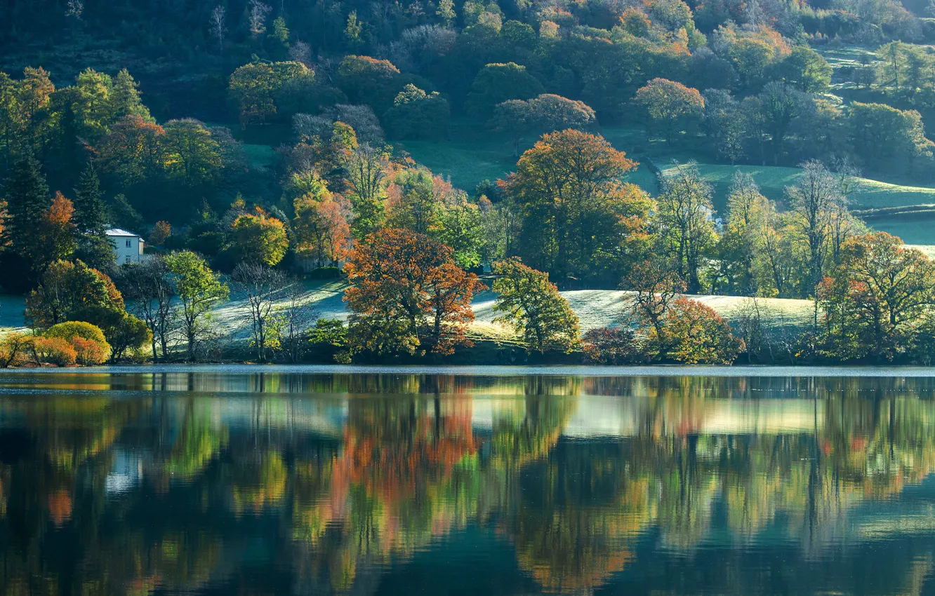 Фото обои осень, деревья, озеро, Англия, склон, England, Cumbria, Камбрия