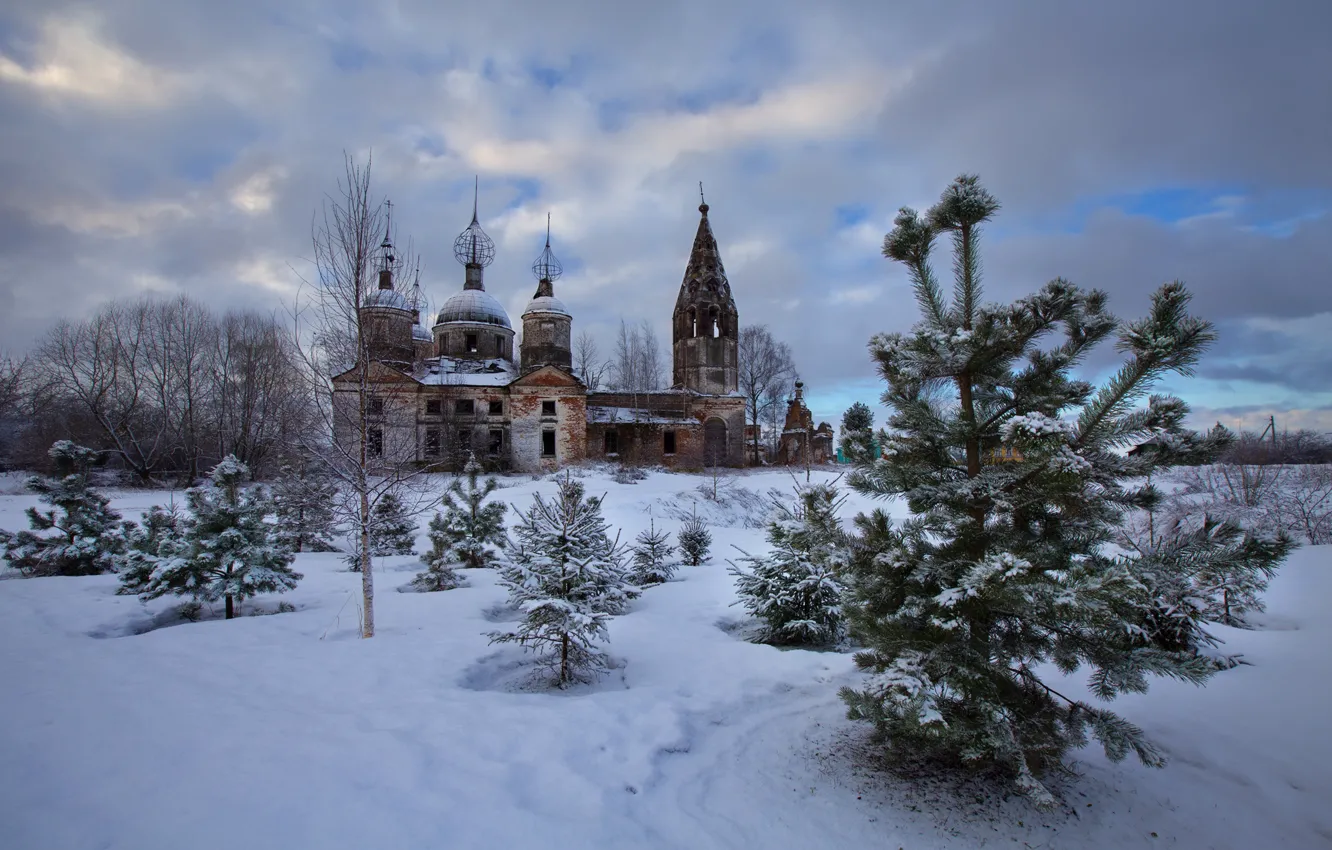 Фото обои снег, храм, сосна