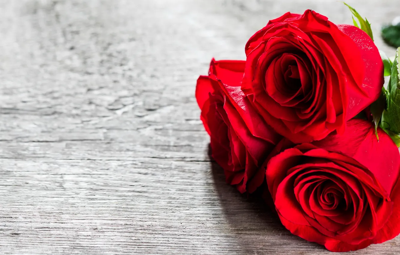 Фото обои любовь, цветы, розы, букет, красные, red, love, wood