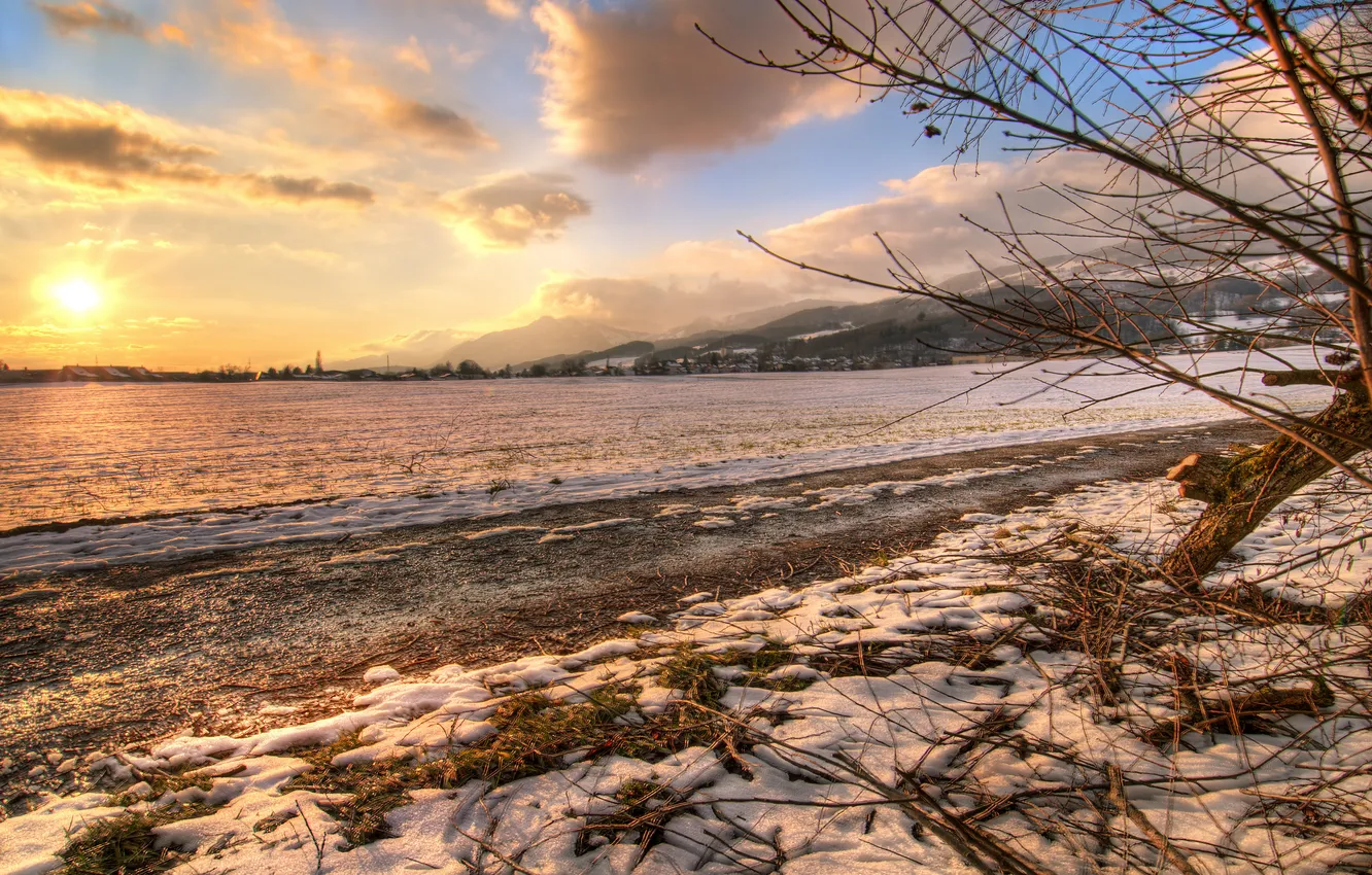 Фото обои зима, поле, свет, снег, ветки