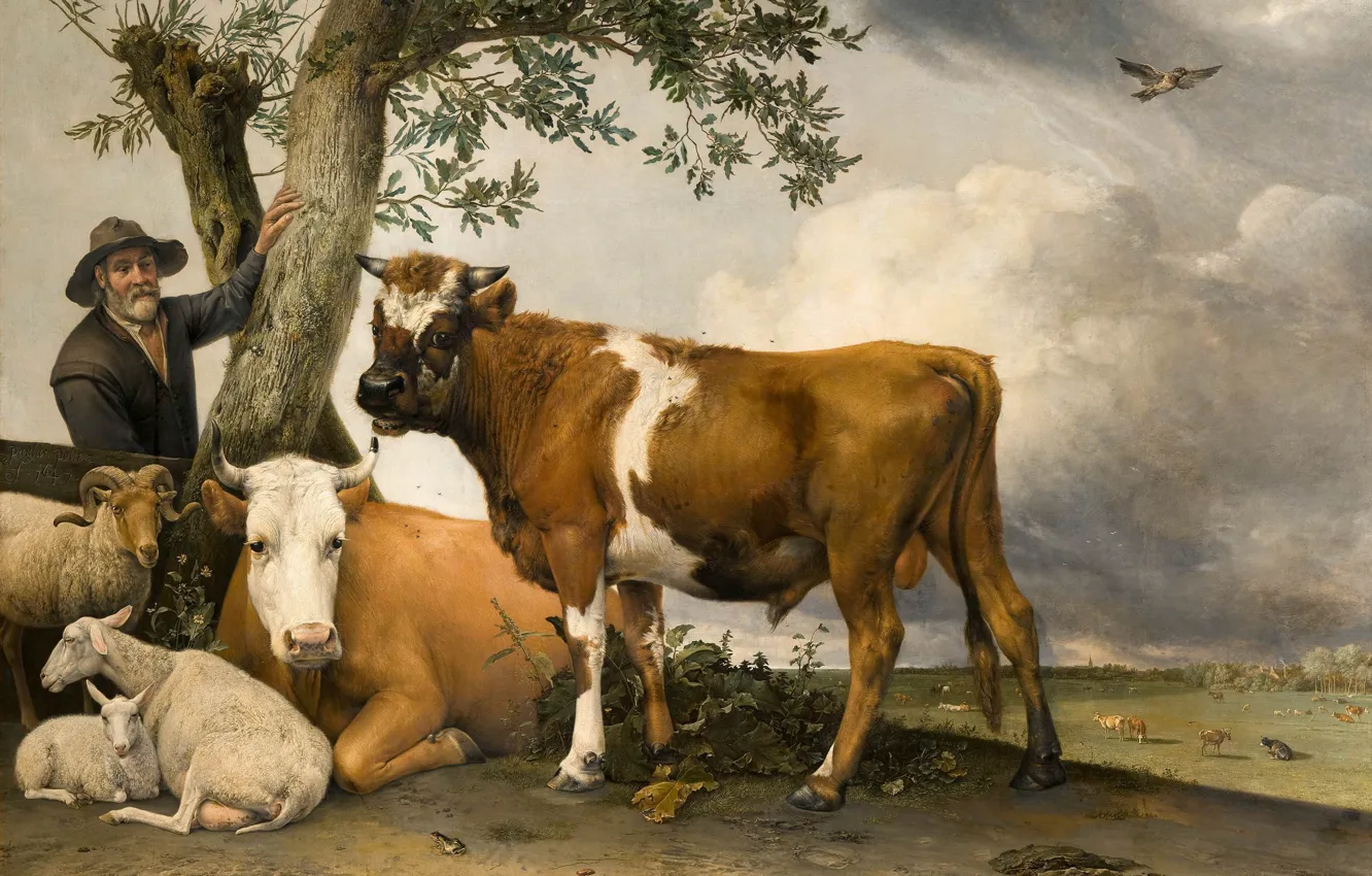 Фото обои Young Bull, Paulus Potter, Dutch Golden Age