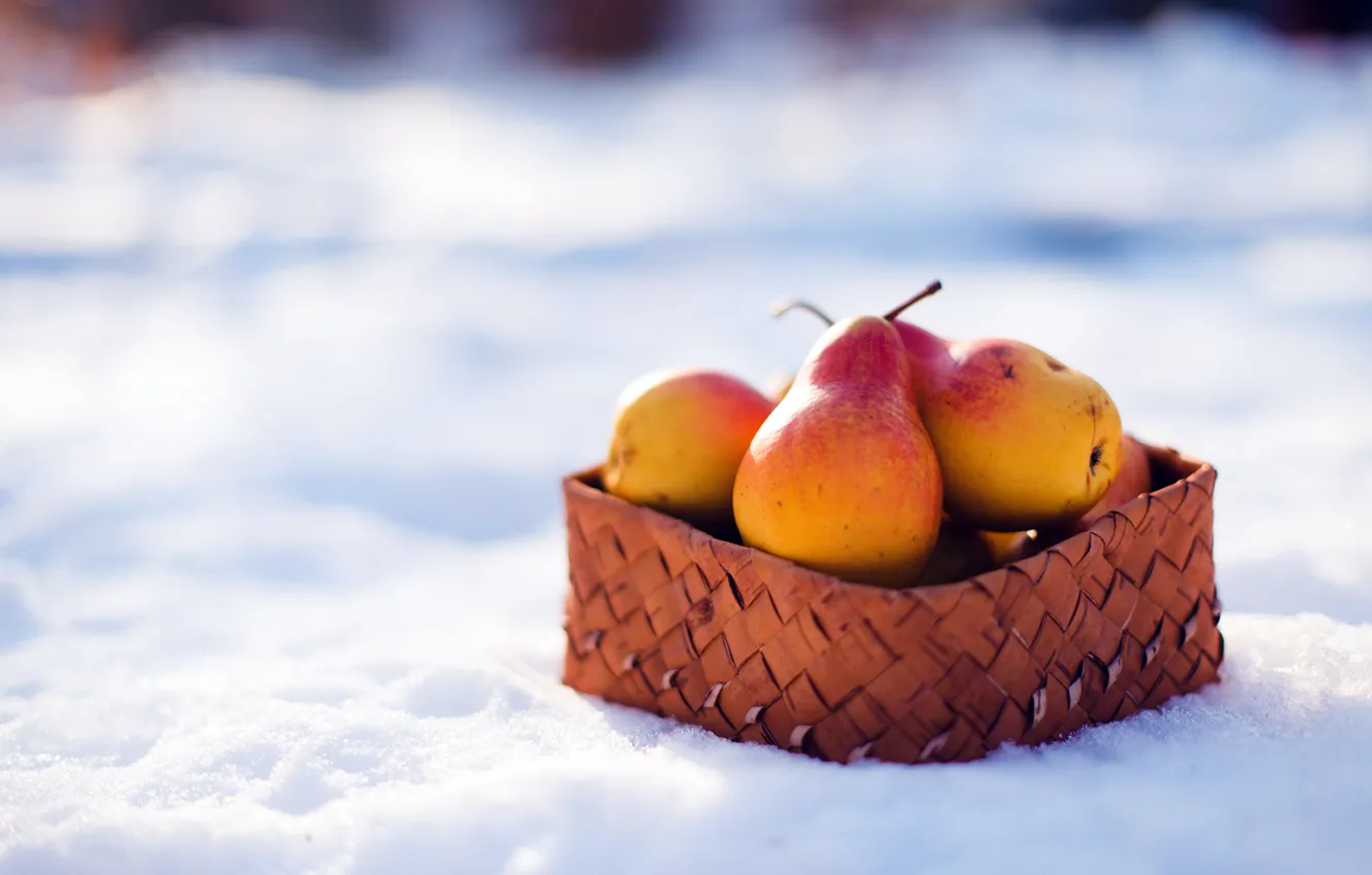 Фото обои зима, снег, фрукты, корзинка, груши